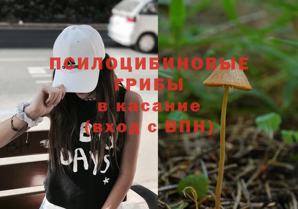 гашик Абинск