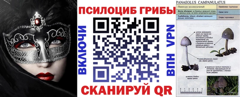 Галлюциногенные грибы Psilocybe  MEGA рабочий сайт  Ртищево 